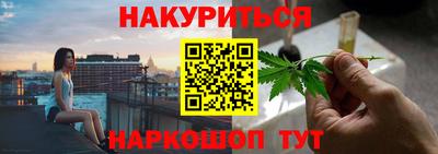 стафф Гай