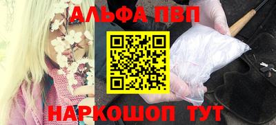 стафф Гай